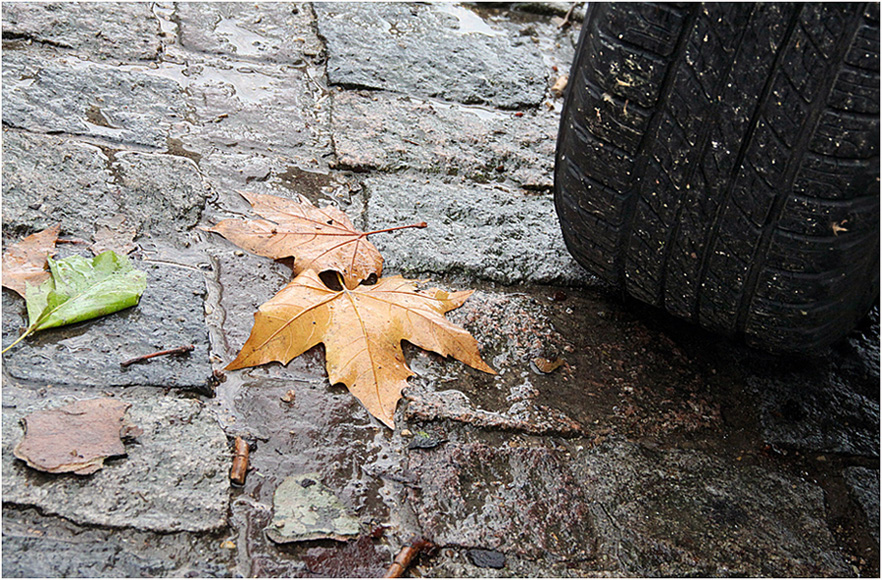 photo "***" tags: , 
