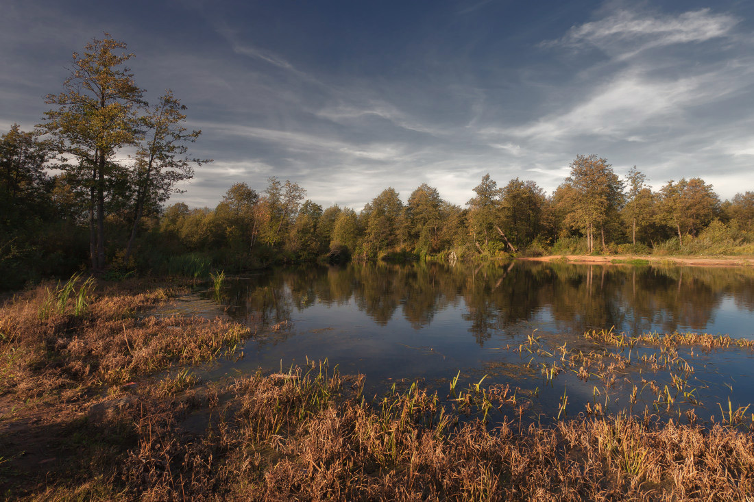 фото "Уголок лесного озера" метки: пейзаж, осень