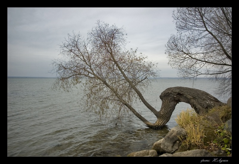 photo "***" tags: landscape, summer, water