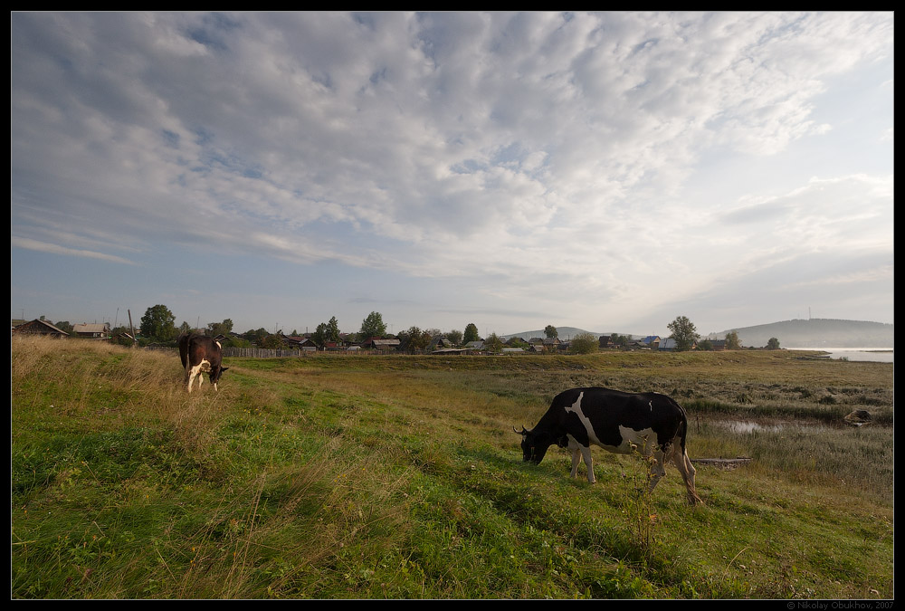 photo "0181_0089" tags: landscape, pets/farm animals, summer, village