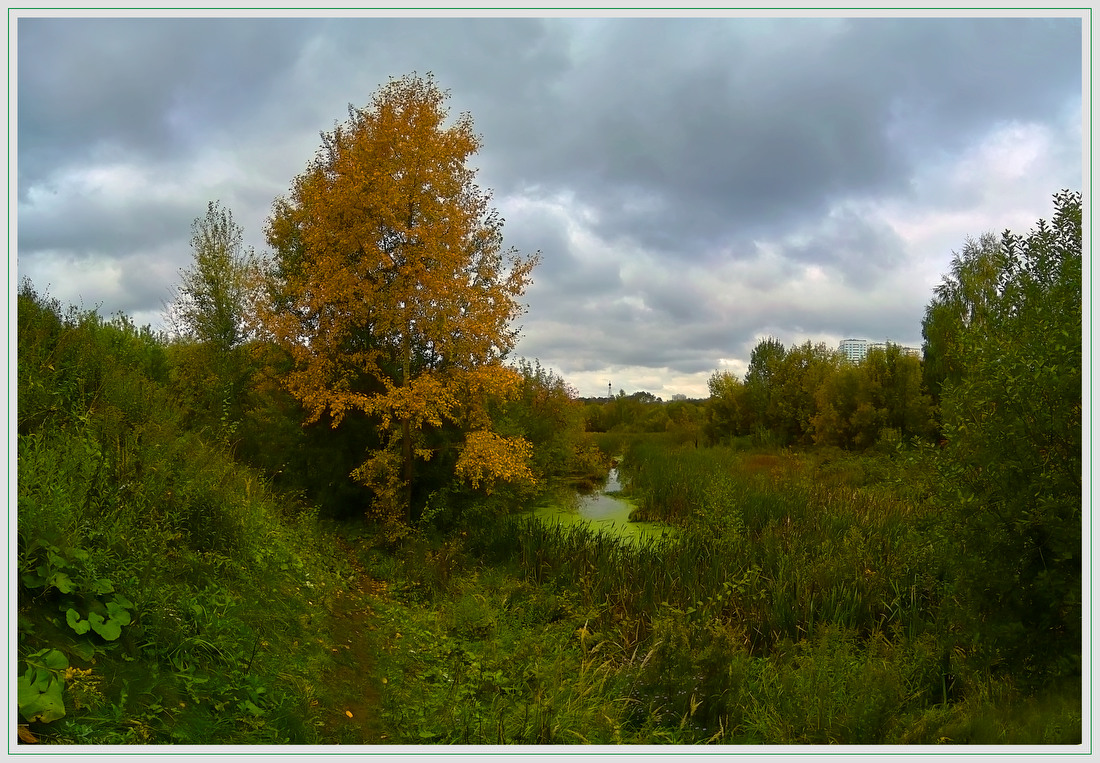 photo "***" tags: landscape, autumn