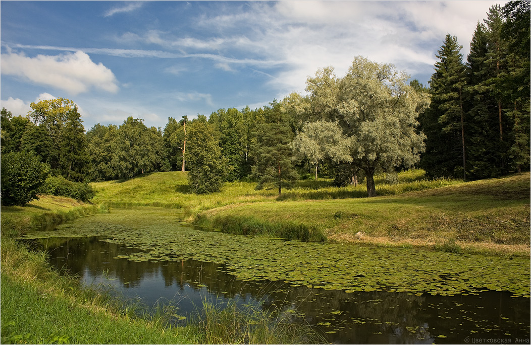 photo "***" tags: landscape, summer