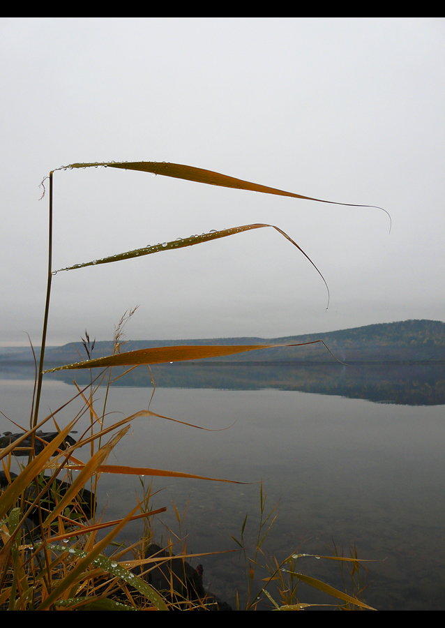 фото "осеннее утро" метки: пейзаж, вода, осень