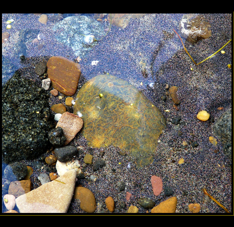 photo "magical stone" tags: macro and close-up, genre, 