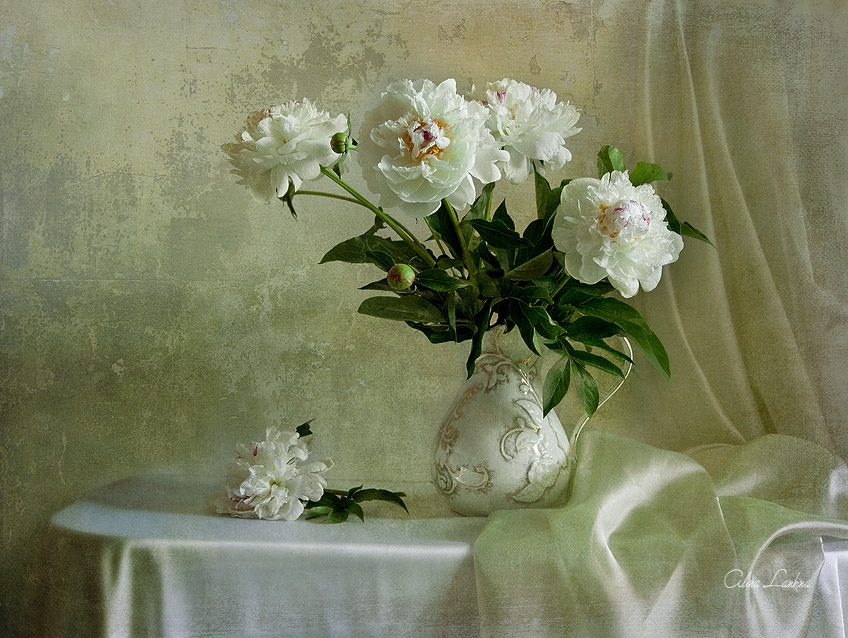 photo "натюрморт, пионы, цветы, букет, алина ланкина" tags: still life, 