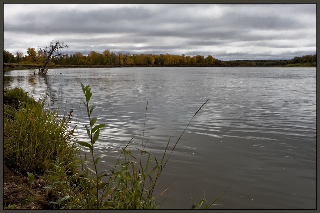 photo "the river, autumn, melancholy..." tags: landscape, autumn, water