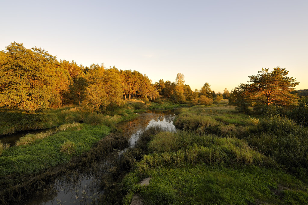 photo "***" tags: landscape, forest