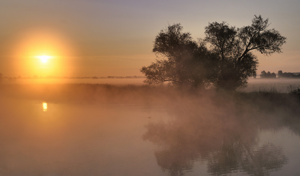 photo "***" tags: landscape, 