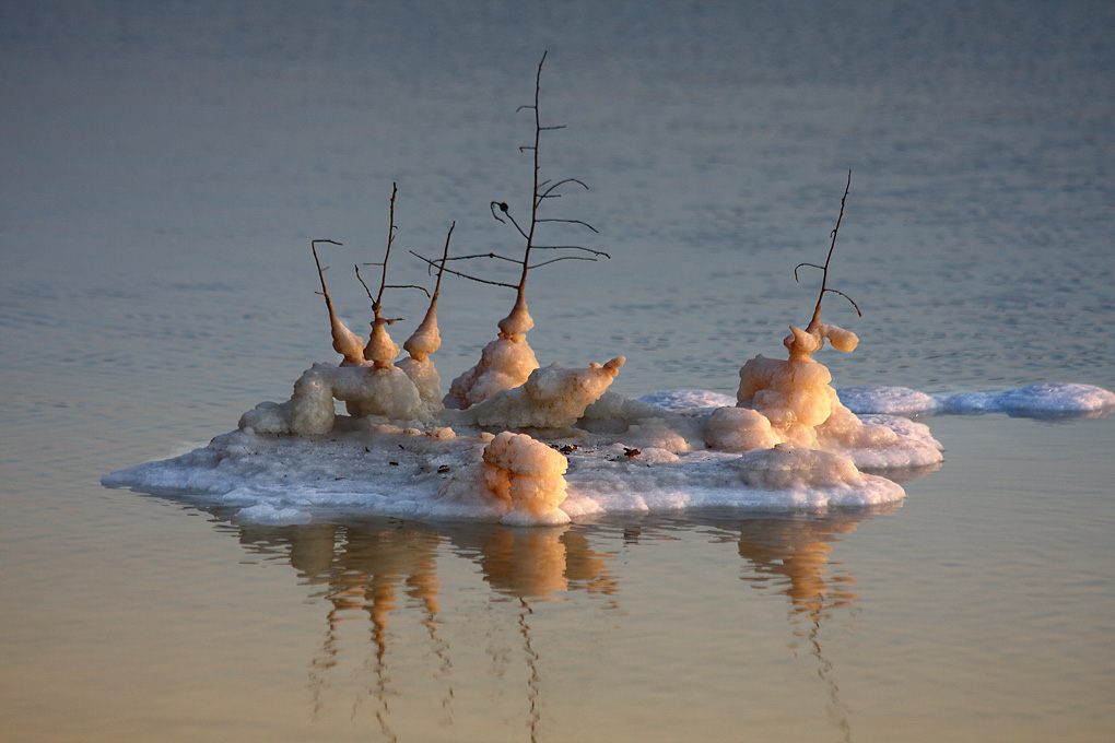 фото "The Art of the Dead Sea 1" метки: природа, пейзаж, вода, цветы