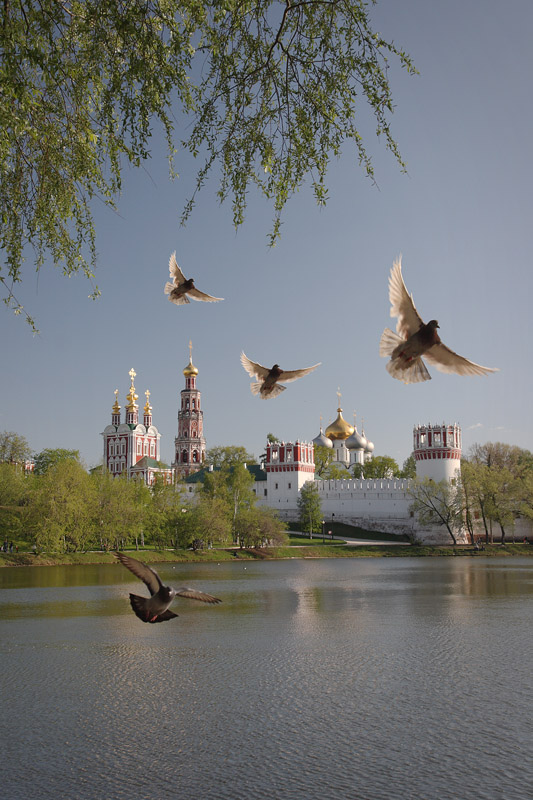 фото "Новодевичий" метки: пейзаж, весна