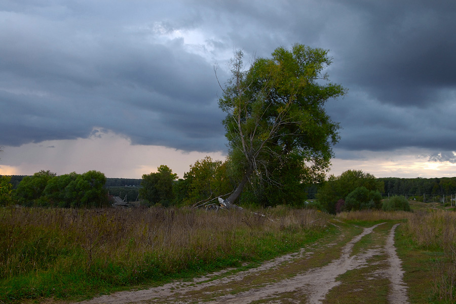 photo "***" tags: landscape, autumn