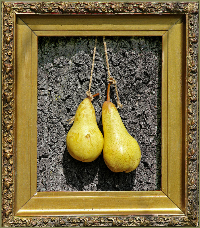 photo "Pears" tags: still life, 