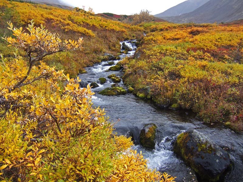 photo "Осень" tags: landscape, travel, North America, mountains