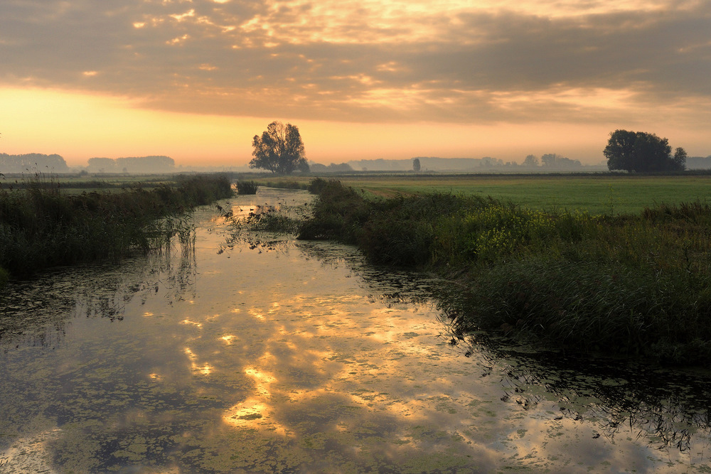 photo "***" tags: landscape, 