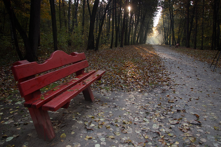 photo "***" tags: landscape, city, autumn