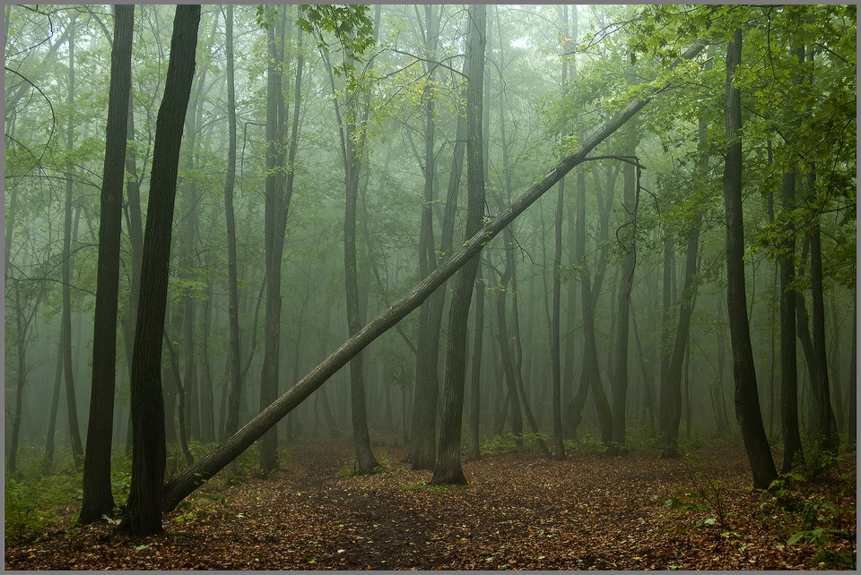 photo "***" tags: landscape, autumn