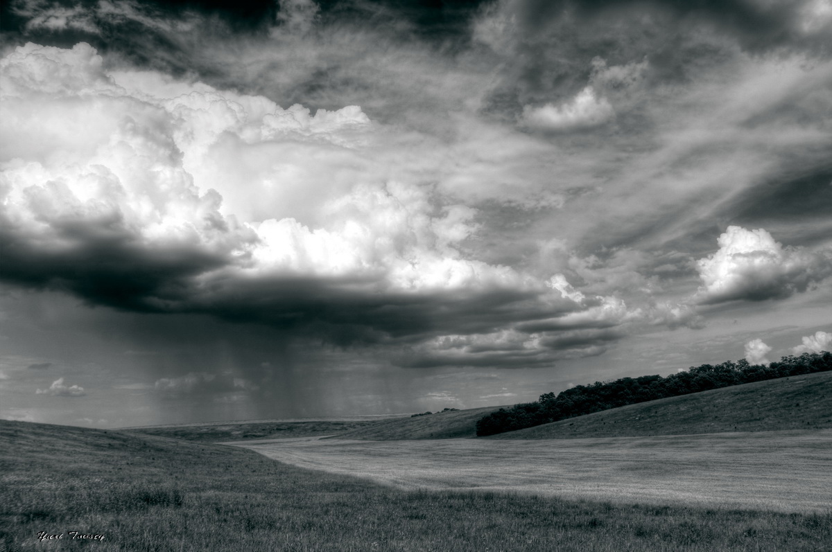 photo "Rain" tags: landscape, 