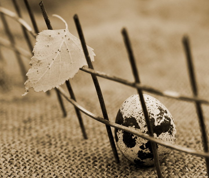 photo "***" tags: still life, 