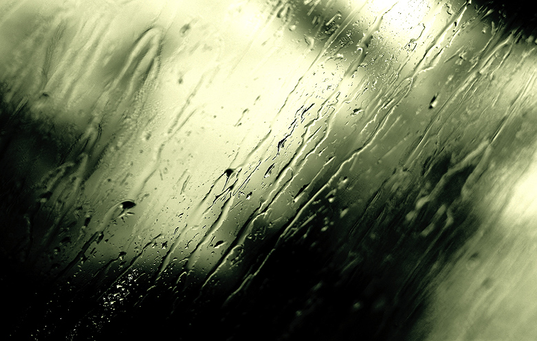 фото "rain" метки: макро и крупный план, 