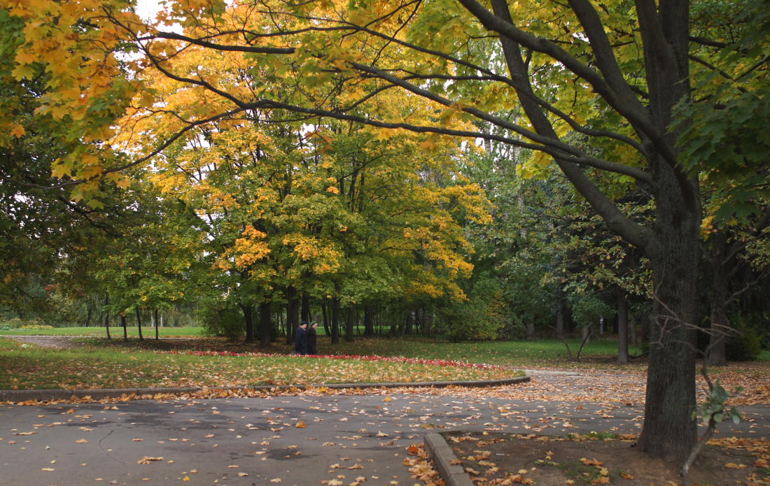 photo "***" tags: landscape, autumn