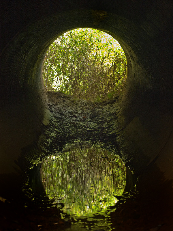 photo "Reflection in a Storm Pipe" tags: abstract, 