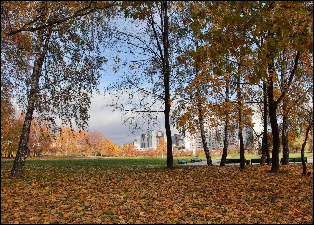 photo "Autumn in Moscow" tags: landscape, city, autumn