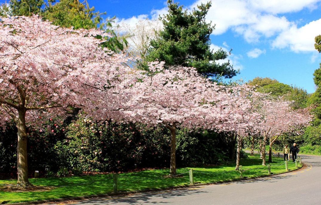 photo "A Spring Day" tags: nature, landscape, spring