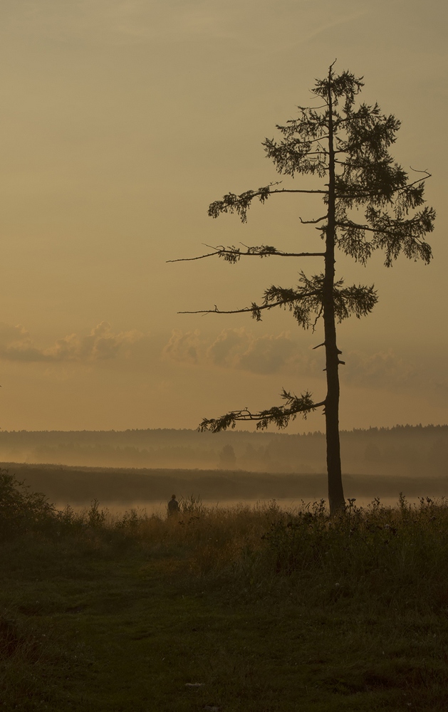photo "***" tags: landscape, summer, sunset