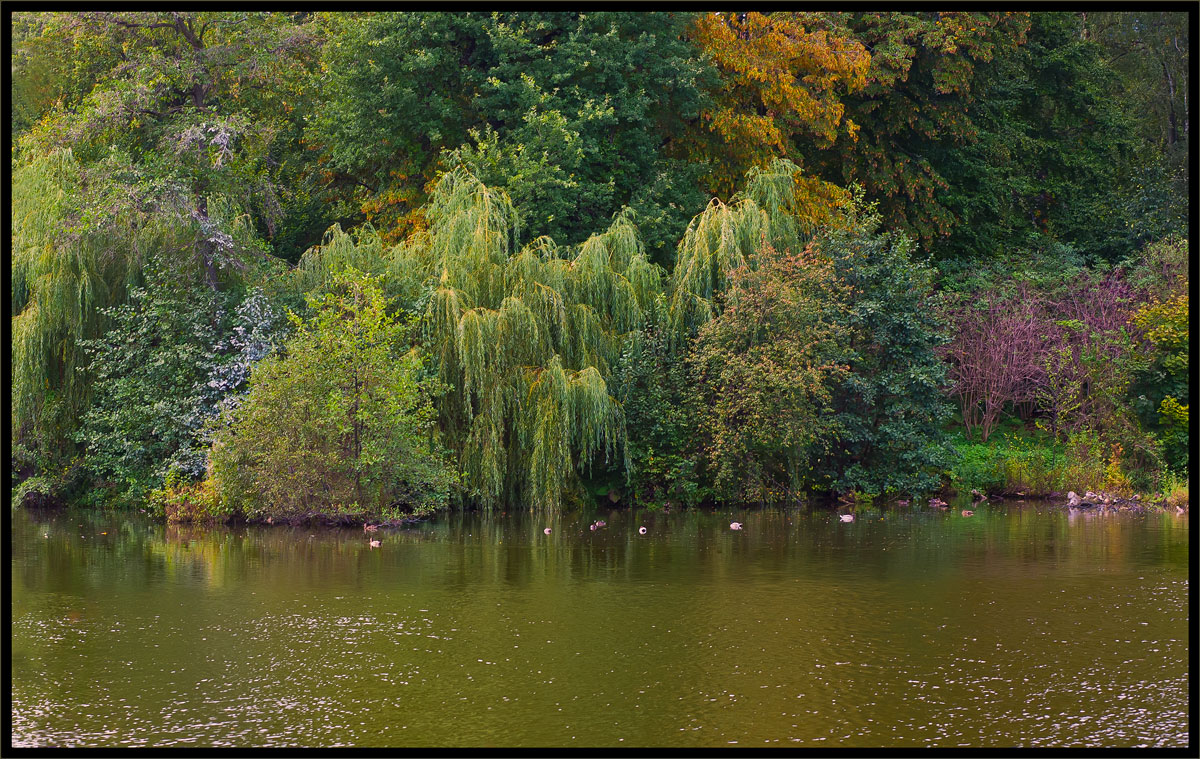photo "Autumn idyll" tags: landscape, abstract, autumn