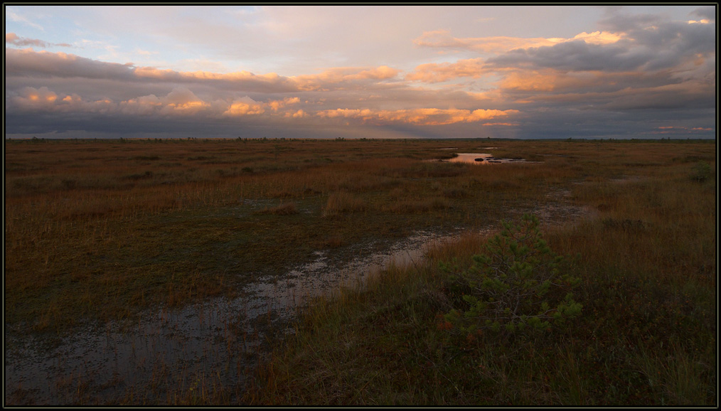 photo "***" tags: landscape, sunset