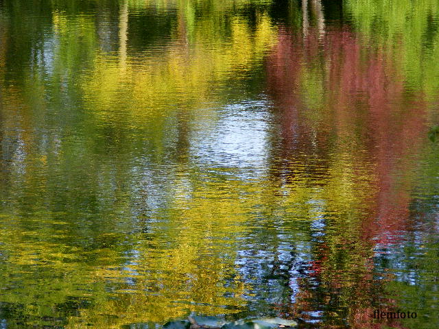 фото "Reflection in autumn" метки: природа, 