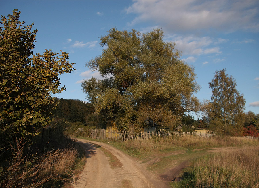 фото "Вечерняя дорога ." метки: пейзаж, осень