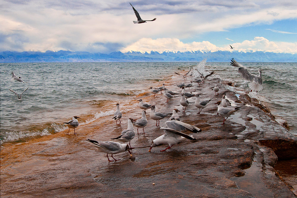 фото "Киргизия" метки: пейзаж, вода