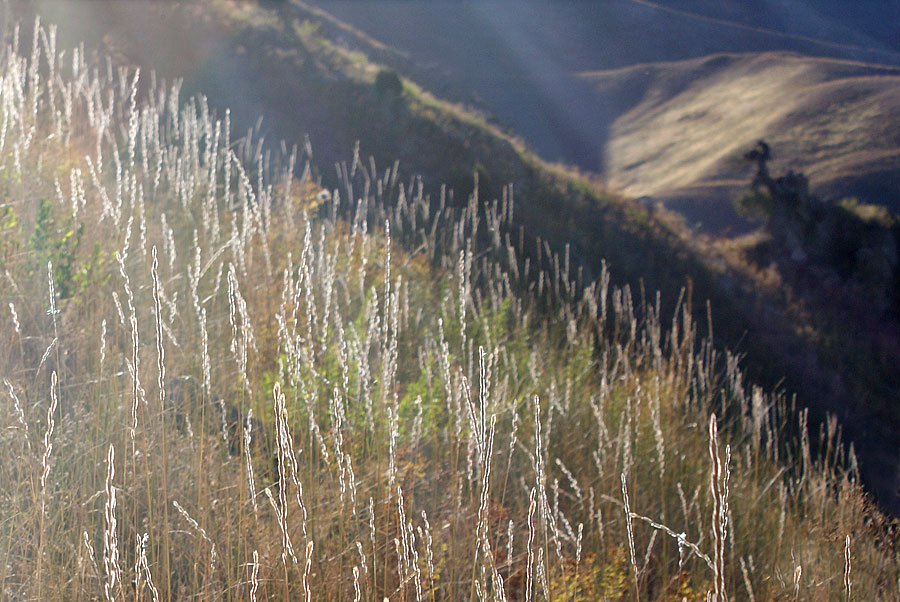 photo "***" tags: landscape, autumn, mountains