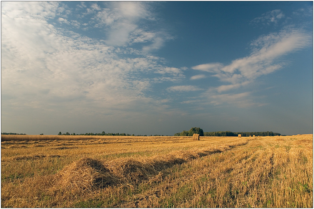 photo "Stubble" tags: landscape, autumn, clouds