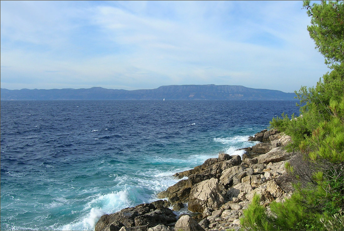 photo "***" tags: landscape, summer, water