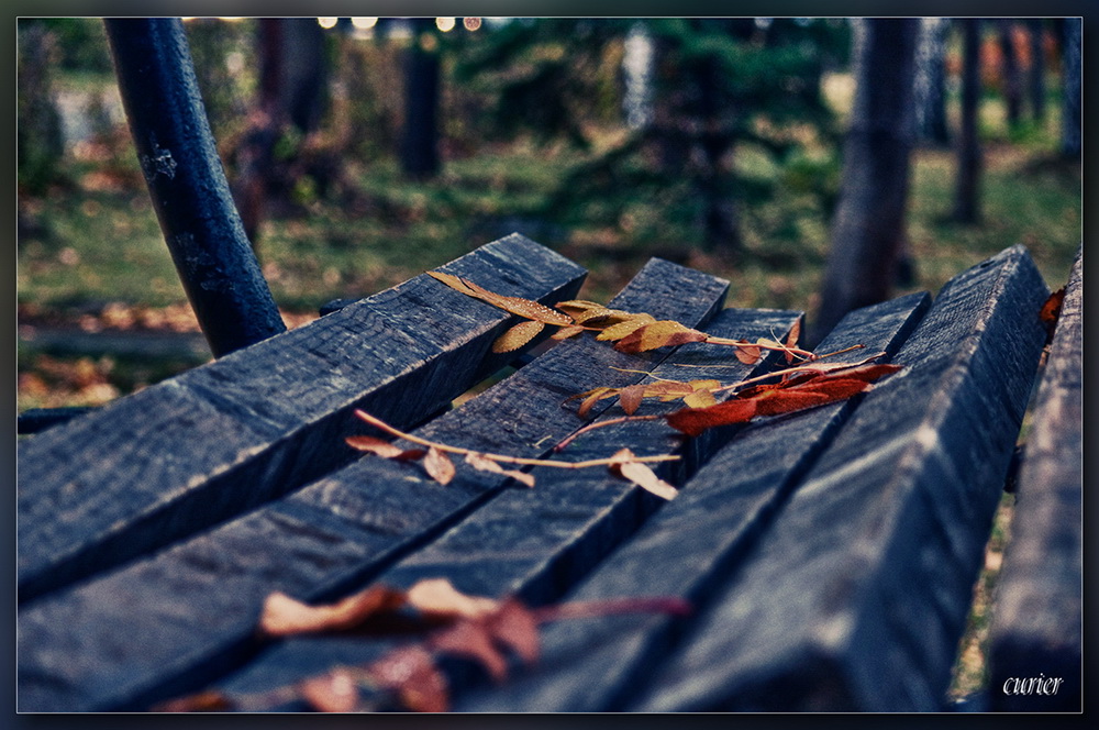 photo "***" tags: landscape, nature, autumn