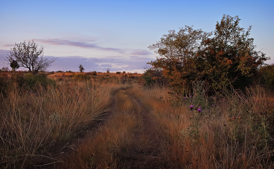 photo "An Autumn Evening" tags: landscape, autumn