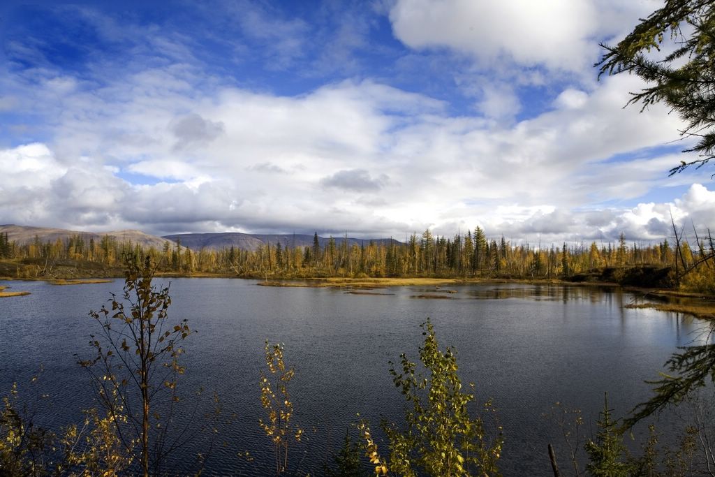 photo "***" tags: landscape, autumn