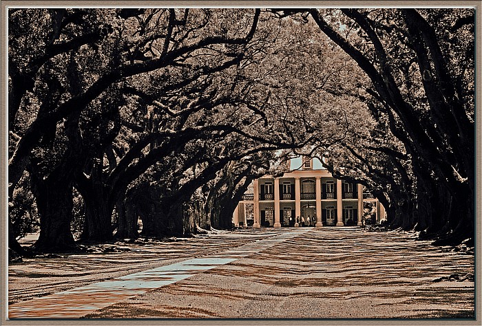 photo "Oak Alley Plantation" tags: travel, architecture, landscape, North America