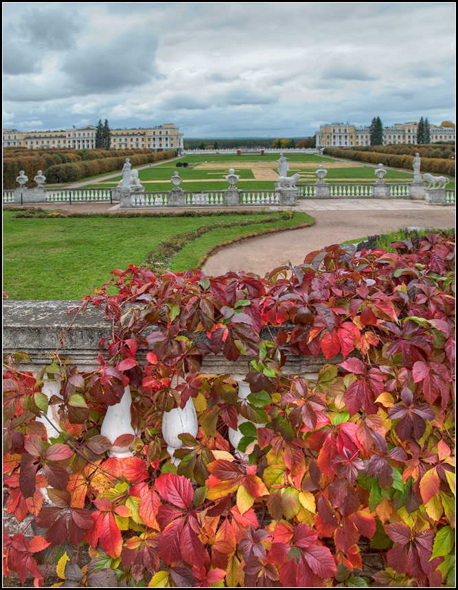 photo "Autumn" tags: landscape, nature, autumn, flowers