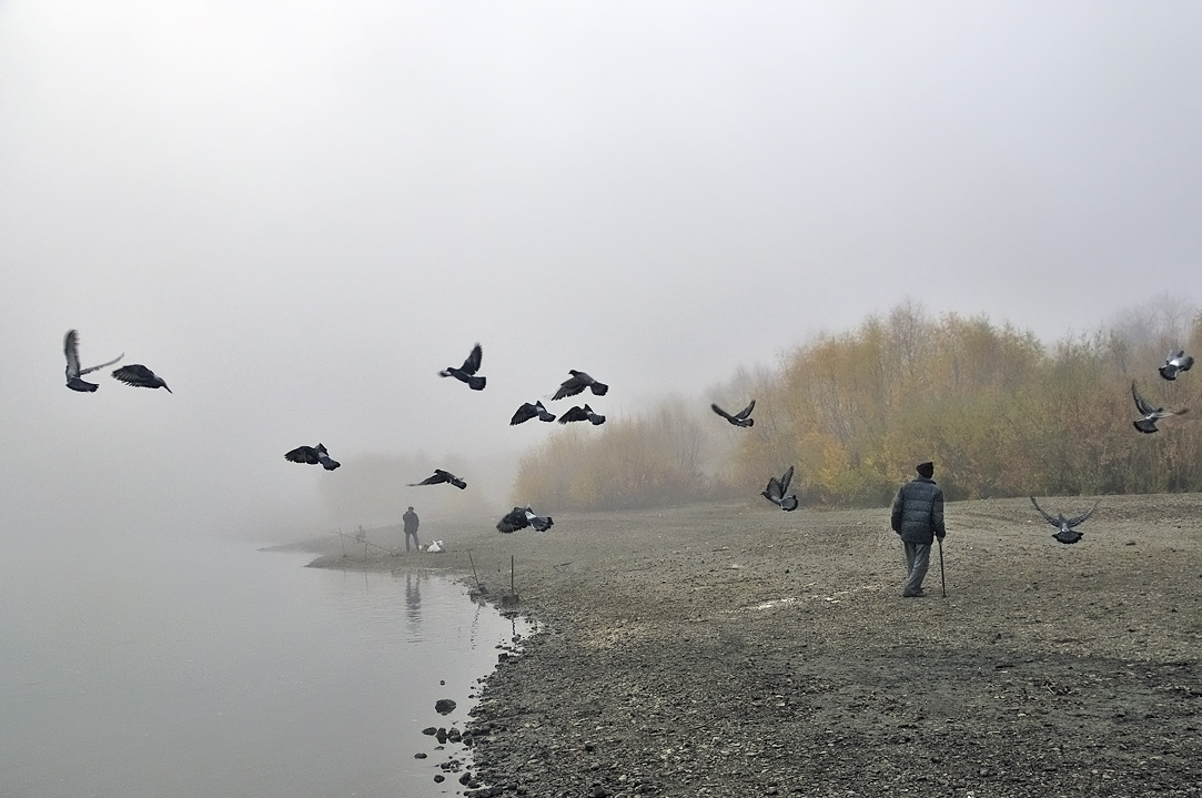 photo "Birds" tags: landscape, autumn, water