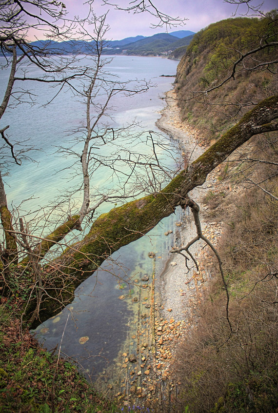 photo "вид со скалы" tags: nature, landscape, rocks, sea, tree, water, высота, деревья