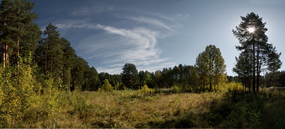 photo "***" tags: landscape, forest