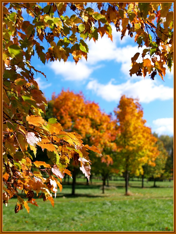 photo "***" tags: landscape, autumn