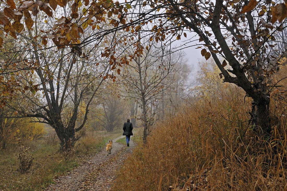 фото "Человек собаке друг..." метки: пейзаж, лес, осень
