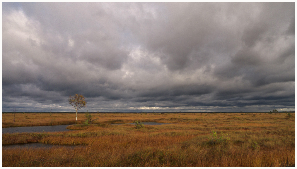 photo "***" tags: landscape, autumn