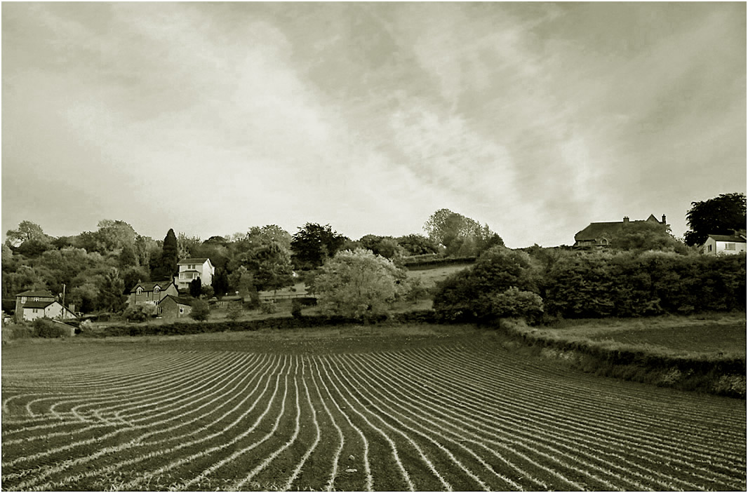 photo "***" tags: black&white, landscape, spring