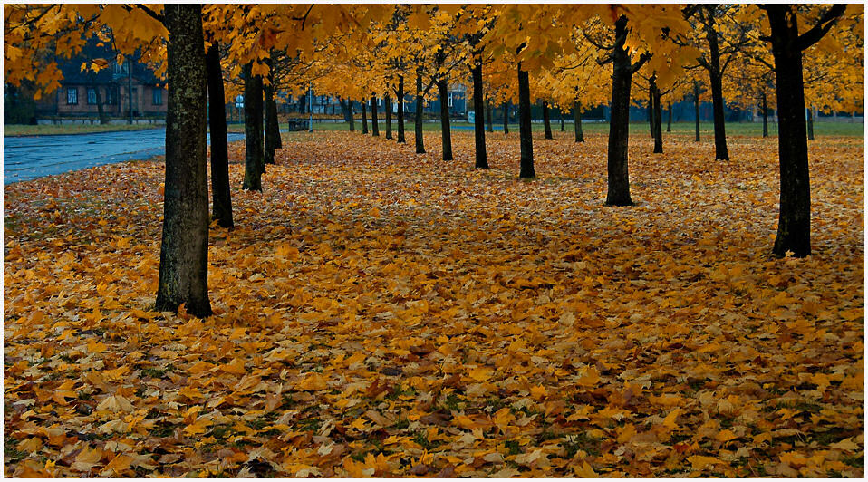 photo "***" tags: landscape, autumn