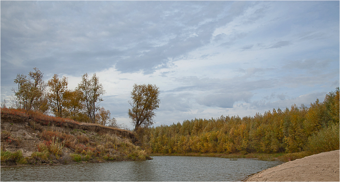 фото "Осенняя..." метки: , 